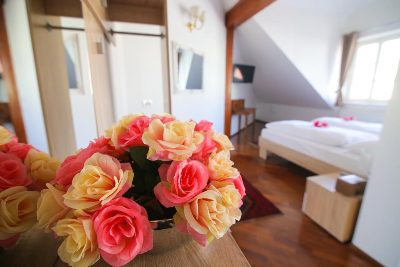 לובליאנה Hotel Vila Katrca מראה חיצוני תמונה